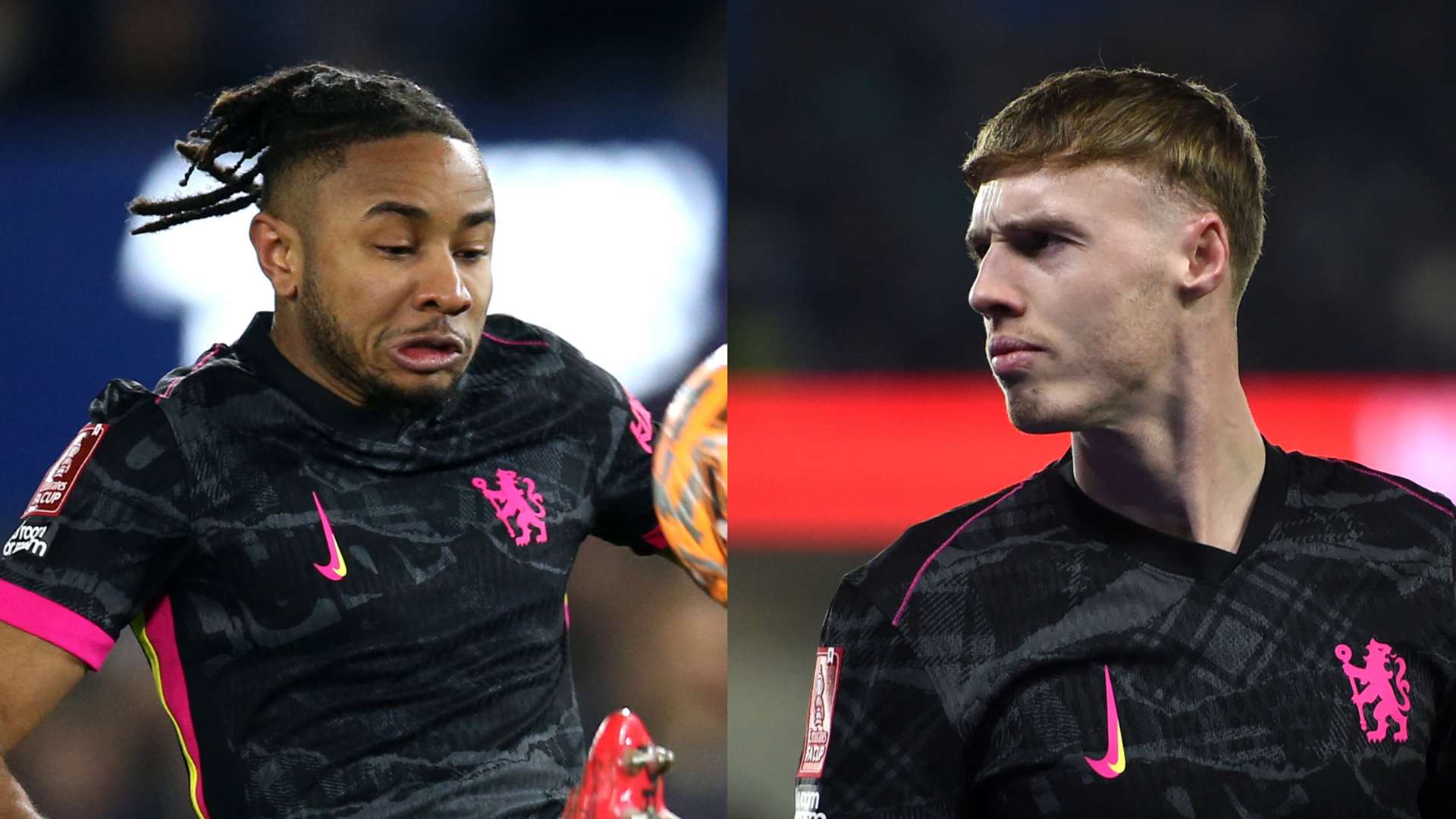 ZP与若日 ZP与若日